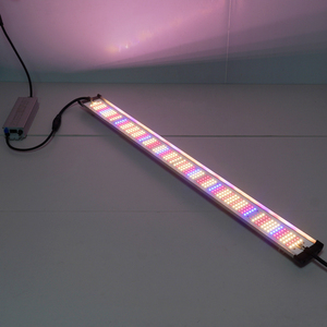 4x100W <span class=keywords><strong>de</strong></span> <span class=keywords><strong>dos</strong></span> <span class=keywords><strong>tubos</strong></span> <span class=keywords><strong>de</strong></span> espectro completo impermeable LED crecer tiras <span class=keywords><strong>de</strong></span> luz espectro para el sistema hidropónico <span class=keywords><strong>de</strong></span> inicio <span class=keywords><strong>de</strong></span> semillas - Product Image 4