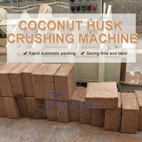 Petite machine de production de tourbe de coco d'Indonésie