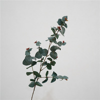 Arbre à monnaie artificiel en soie de style nordique inspiré d'Instagram, verdure à longues branches pour arrangement floral de salon et table à manger