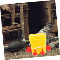 Nouvelles fontaines à boire automatiques en plastique, abreuvoirs et bols pour poulets, poulets de chair, poules pondeuses dans l'élevage avicole