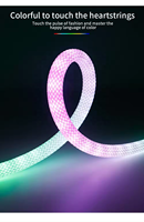 Nouveauté : Bande LED néon tressée intelligente étanche IP67 5V/12V/24V, adressable RGB, éclairage paysager à 360 degrés, CRI 90 élevé