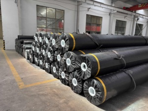 Géomembrane à surface lisse à prix d'usine, imperméable, pour les applications d'élevage de crevettes et d'agriculture - Product Image 4