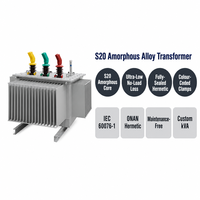 Transformateur immergé dans l'huile en alliage amorphe Wanbo-510 S20, enroulement en cuivre hermétique, 10 kV, ONAN Dyn11, KVA personnalisé