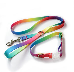 Regenbogen-PVC Freihändige Verstellbare Silikon-Hundeleine & Mehrfarbiges Polyester-Halsband-Set - Personalisierter Aufdruck - Product Image 2