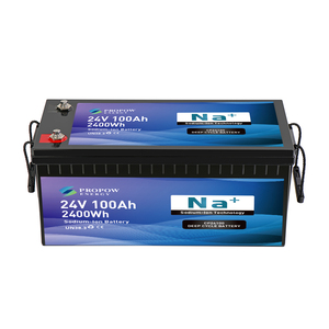 Batería de Iones de Sodio Propow de Larga Duración, 24V 100Ah, Ciclo Profundo, para Uso Marino - Product Image 5