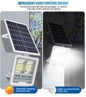 NUEVA LUZ SOLAR DE INUNDACIÓN 2021 DE 100W 200W 300W CON ALTO BRILLO