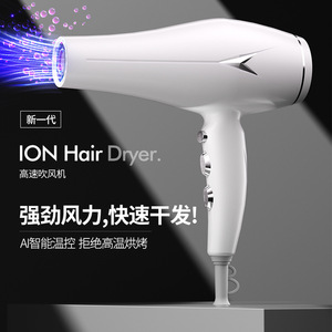 Ion Hair <b>Dryer</b> High Speed Ionic AC Motor 220V With Heat Protection For Fast Drying - Product Image 1