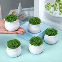 Pot Bunga Mini Plastik Buatan Tangan - Pot Kecil Putih Rajutan Tangan DIY untuk Dekorasi