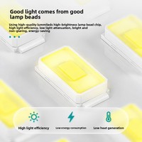 Éclairage latéral LED pour terrain de badminton intérieur Zhiming, design nid d'abeille anti-éblouissement sans ombre, 5700K, surface incurvée, design écaille de dragon