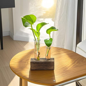 Macetas y Jardineras Decorativas Creativas para Mesa, Contenedor Hidropónico Verde con Tubo de Ensayo y Adorno de Florero - Product Image 4