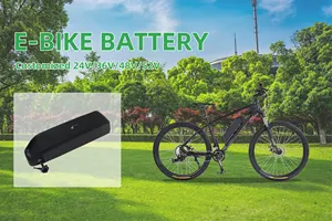 Hailong 36v 48v 52v 10ah 15ah 20ah Batterie 500w 1000w 1500w Vélo électrique Vélo 36v Batterie au lithium Batterie Ebike