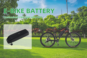 Hailong 36v 48v 52v 10ah 15ah 20ahバッテリー500w1000w1500w電動自転車自転車36vリチウムバッテリーEbikeバッテリー - Product Image 2