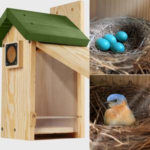 Maisons d'oiseaux en bois suspendues pour l'extérieur Kit de maisons d'oiseaux bleus en bois pour la décoration de jardin extérieur Nichoir en bois - Product Image 6