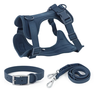 Collar, Correa y Arnés para Perro con Hebilla Metálica, Colores Personalizados, Venta Directa de Fábrica NiBao - Product Image 5