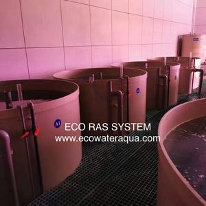 ECO เครื่องจักรการเกษตร/สถานรับเลี้ยงเด็ก/โรงเพาะฟัก/เติบโตออกจากระบบ Ras - Product Image 5