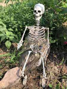 Artículo en Venta Caliente: Esqueleto de Plástico Simulado SKB59 para Exhibición en KTV, Bares, Salas de <span class=keywords><strong>Escape</strong></span> y Escenarios de Terror - Product Image 5