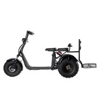 Entrepôt US/EU Scooter électrique à grandes roues City Coco Contrôleur pour adulte 2000W Moteur sans balais golf Citycoco scooter à trois roues