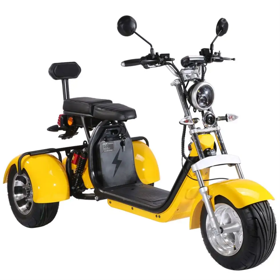 2022 vendita calda Citycoco 3 ruote Scooter elettrico 1500W/elettrico Trike/adulti tricicli per sacca da Golf