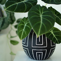 Offre Spéciale mini pots de cactus succulents noirs décoration de jardin intérieur extérieur pots de fleurs en ciment