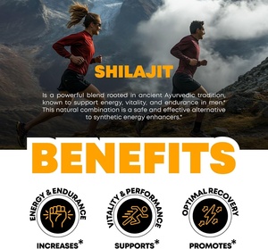 Gomitas de Shilajit Natural del Himalaya de Marca Privada OEM/ODM, Suplemento 10 en 1, Gomitas Naturales a Base de Hierbas para el Equilibrio Inmunológico y el Bienestar - Product Image 3