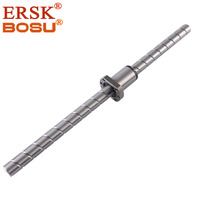 Vis à billes de meulage précise C5 avec écrou modèle vis à billes Premium produit Dia12 15 16 20 25 32 40 50 60 80mm