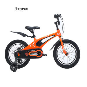 Dikke Band Kids Bike Nieuwe Stijl Kleine <span class=keywords><strong>Baby</strong></span> Model 12 14 16 18 20 Inch Cyclus Voor Meisje Jongen - Product Image 3