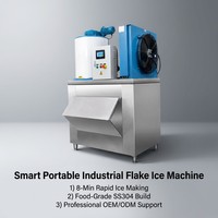 Macchina Commerciale per Ghiaccio a Scaglie, Produttore di Ghiaccio a Fiocchi Non Adesivi da 1,5mm a 2,2mm per Frutti di Mare, Hotel, Supermercati
