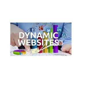 プロのWebサイトデザイナーによる最高のユーザーインターフェース動的Webサイトの設計と開発