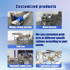 베이헹 휴대용 트럭 계량기 스테인리스 터치스크린 디스플레이 OEM 맞춤형 차축 저울 - Product Image 4