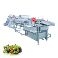 Multifunctionele Kool Wortelen Okra Tomaten Sla Snijlijn Groenten En Fruit Salade Productielijn