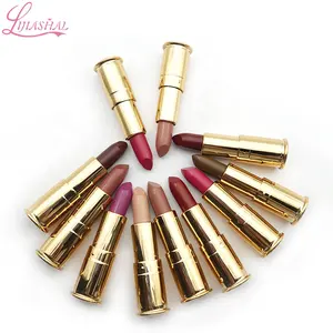 Lipstick And Private Label 2024 The Bullet Lipstick Makeup Matte Lipstick Private Label With Low MOQ