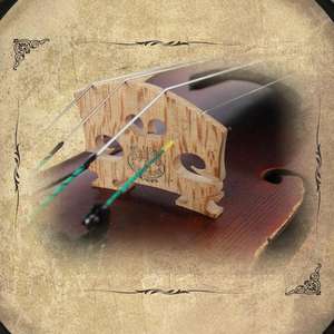 V118L Série de concerts de taille 4/4 de haute qualité faite à la main avancée Rénovation du <span class=keywords><strong>violon</strong></span> - Product Image 2