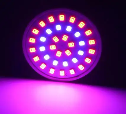 Cresce A Luz LED Full Spectrum E27 E14 GU10 MR16 36 54 72LEDs Spot Lâmpada UV IR Vermelho Azul Para lâmpada hidropônica flor planta