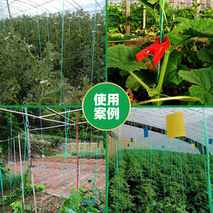 Cuerdas para Enredaderas - Cuerdas de Polietileno para Atar Plantas Trepadoras en Invernaderos Agrícolas - Venta al por Mayor de Fábrica - Product Image 3