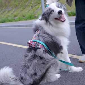 <span class=keywords><strong>Harness</strong></span> kucing motif bunga kecil, <span class=keywords><strong>Harness</strong></span> anjing keamanan timbal depan - Product Image 5