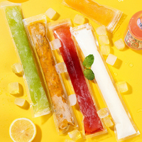 Sacs à glace en plastique jetables avec fermeture éclair, moules à sucettes glacées, fabrication de sucettes glacées aux fruits, sacs à glace pour sucettes glacées