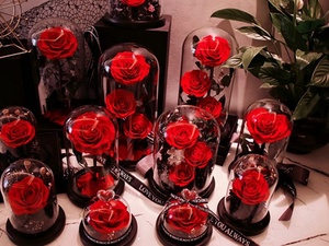 Rosas de Cristal Eternas con Luz, <span class=keywords><strong>Rosa</strong></span> Infinita, Flores Preservadas en Cúpula de Cristal, Cúpula de Cristal LED con Base de Madera - Product Image 6