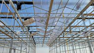 Tropische polycarbonaat PC-kassen en commerciële hydroponische teeltsystemen voor tomaten, sla en aardbeien - Product Image 4