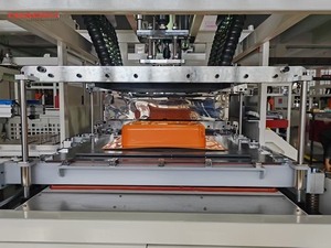 El <span class=keywords><strong>mejor</strong></span> <span class=keywords><strong>precio</strong></span> Tollerycase que hace la máquina Valise Thermo que forma la máquina Popular EN LA India - Product Image 5