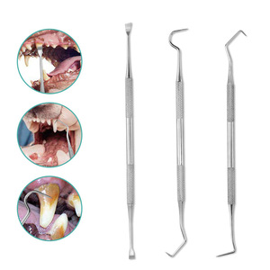 Stainless Steel Dental Tool Set For Pets 16Pcs Manual Oral Cleaning Instruments Class I Yangjiang Origin - Product Image 1