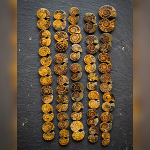 Amonitas naturales de primera calidad, las más vendidas, con excelentes calificaciones, en forma de cabujón, piedras preciosas sueltas para joyería. - Product Image 2