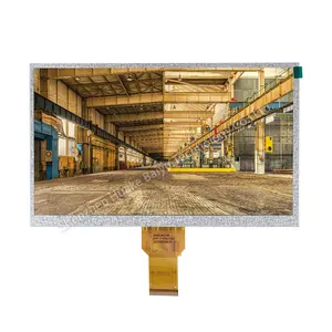 Industrial Color Tft Lcd Panel 50 Pin Lcd Tft Display 10.1 Inch 1024x600 Ips Screen 10.1 Inch Ips Lcd Module For Rugged Tablets