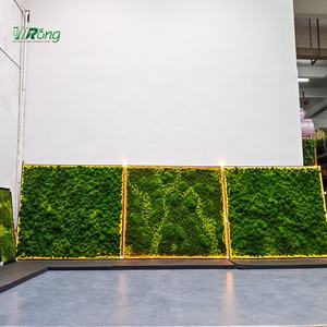 ผนัง<span class=keywords><strong>มอ</strong></span><span class=keywords><strong>ส</strong></span>เทียมตกแต่งบ้านในชีวิตประจำวัน - Product Image 3