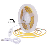 Tira COB regulable USB de alta densidad 480 LED/M 5M Flexible 4mm cinta LED iluminación de paisaje inteligente blanco cálido/frío DC 5V RA90 App