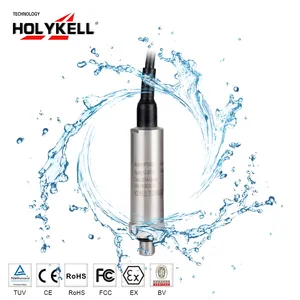 Holykell Factory HPT603 5M 10M filetage 316L pompes à eau submersibles capteur de niveau d'eau