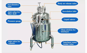 Fermentador Automático Controlado por PLC, Tanque de Fermentación de Acero Inoxidable 304 | |   Biorreactor de Alta Precisión para Micelio de Champiñones - Product Image 2