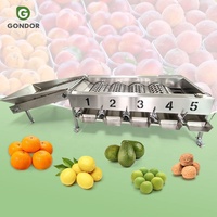 Kardemom Wortel Fruit Aardbei Dadel Guave Sorteermachine Citroen Sorteermachine Ui Sorteermachine Sorteren en Sizing voor Mango