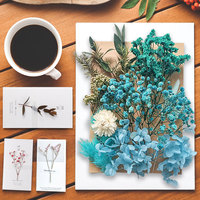 ZS006 Boho Mini Mixed Natural Scented Echte getrocknete Blumen und Pflanzen Beutel Paket Nagel kerzen Harz Silica Gel Form