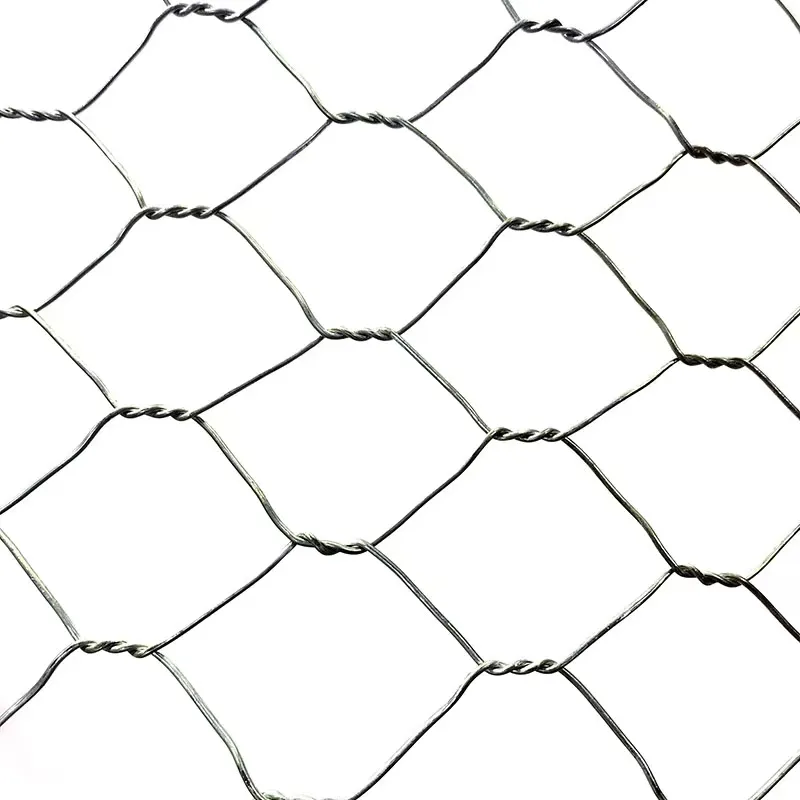 Chicken Cage Coop Fence Wire Mesh Rolls Hexagonal Wire Mesh Netting hexagonal wire mesh anti-theft