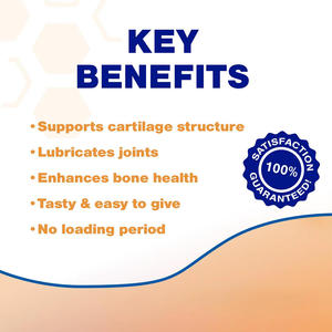 Compresse nutrizionali masticabili per la cura delle articolazioni per cani integratori sanitari per animali domestici per una salute ottimale degli animali domestici - Product Image 5